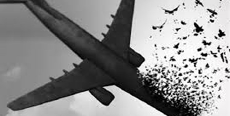 پیگیری کمیسیون معاضدت قوه قضائیه در جریان حوادث اخیر