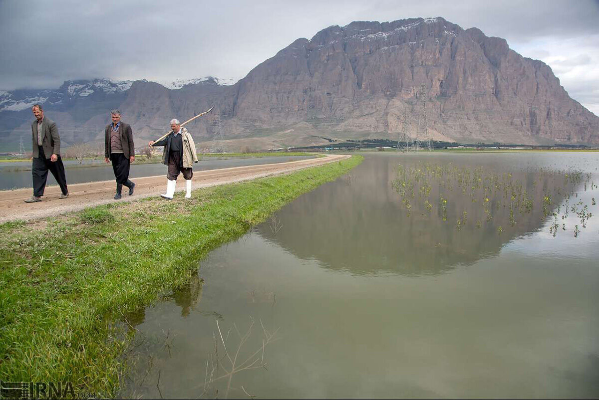 معاون پژوهش معاونت حقوقی ریاست جمهوری:  حق حفاظت از میراث طبیعی جزو حقوق شهروندی است