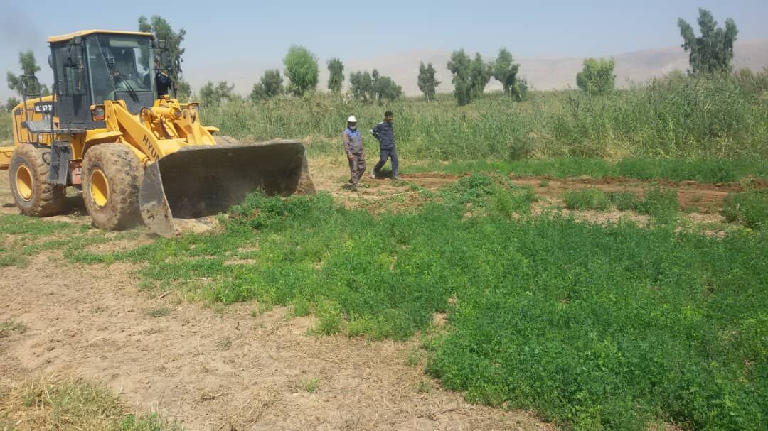 محصولات مزارع آبیاری شده با فاضلاب در شیراز از بین برده شد