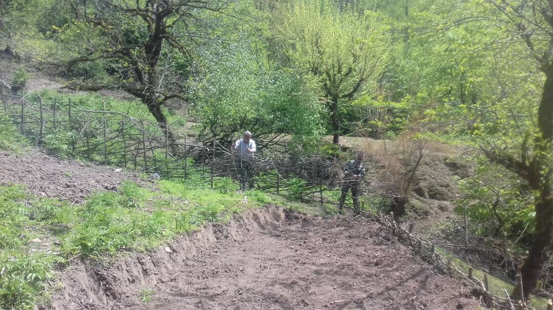 آزادسازی ۵۰ هزار متر مربع از اراضی زراعی در فیروزکوه