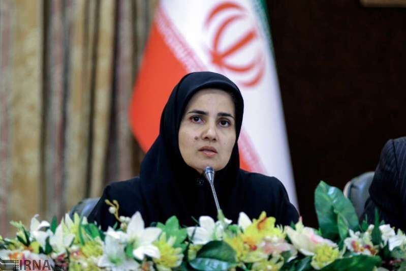 معاون حقوقی رئیس جمهوری:  حبل‌المتین ما اجرای اصول قانون اساسی است