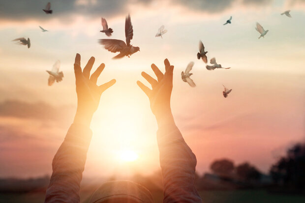 ۲۱۰ محکوم جرائم غیرعمد در استان مرکزی آزاد شدند