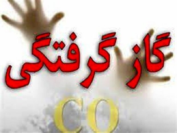 پزشکی قانونی اعلام کرد:  مرگ ۳۱۴ نفر بر اثر مسمومیت با گاز در هشت ماهه امسال