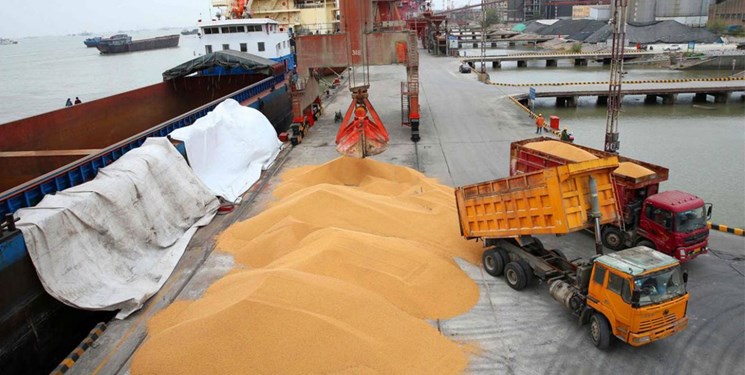 دستور ویژه قضایی برای ترخیص فوری بیش از ۱۴۰ هزار تن روغن خوراکی و ۱۲ هزار تن برنج وارداتی
