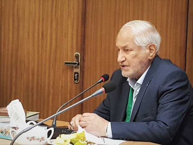 مدیرعامل ستاد دیه کشور:  مشکل ایمنی جاده‌ها معطوف به سوء مدیریت است